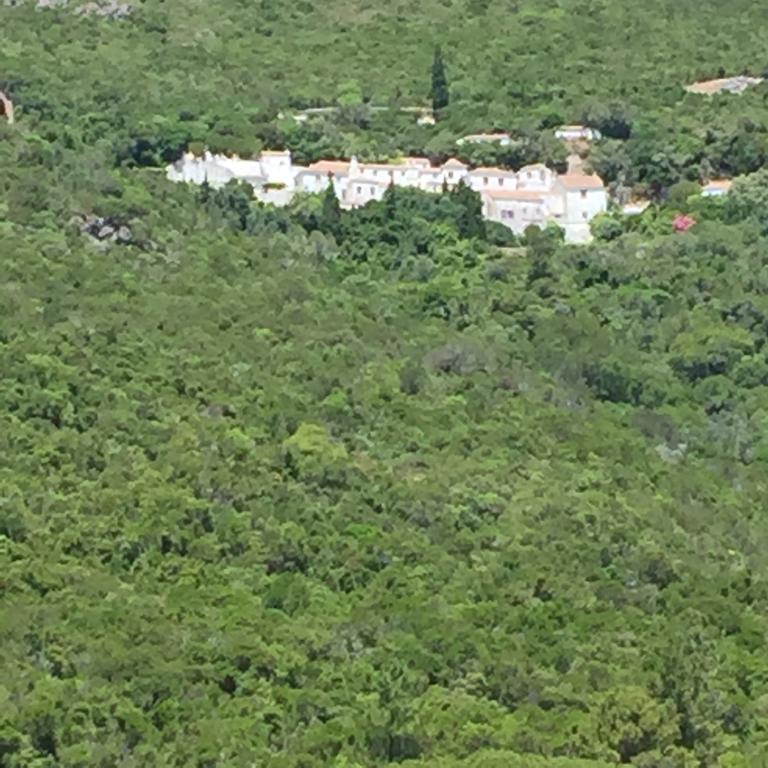Casa Do Farol Da Arrabida Villa Portinho da Arrábida Exteriör bild